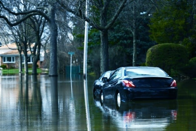 buy flood damaged car